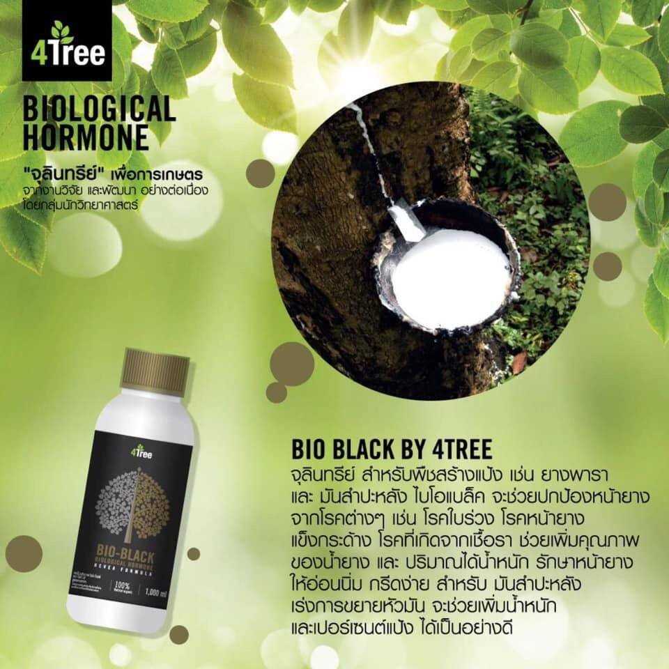 อะมิโนพืช BLACK  1 ขวด (bottle)  ขนาด 1,000 ml