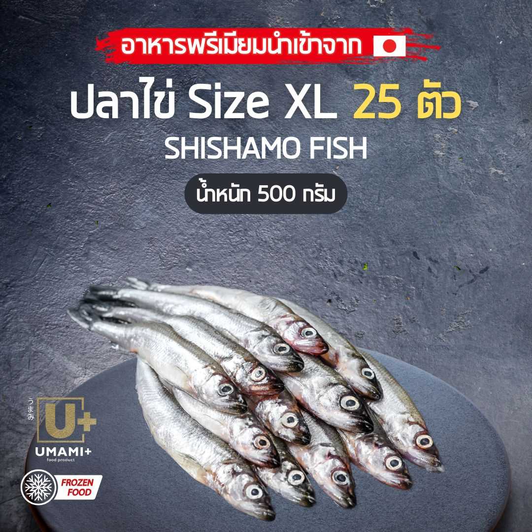 ปลาไข่ Shishamo จาก Umami Plus - ไข่แน่นเต็มคำ อร่อยสไตล์ญี่ปุ่น