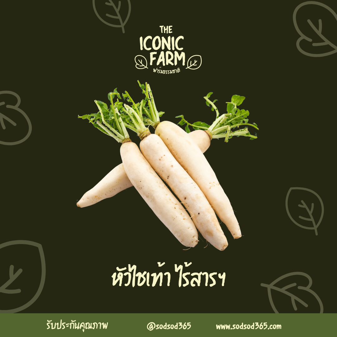 หัวไชเท้า ไร้สารฯ 1000g