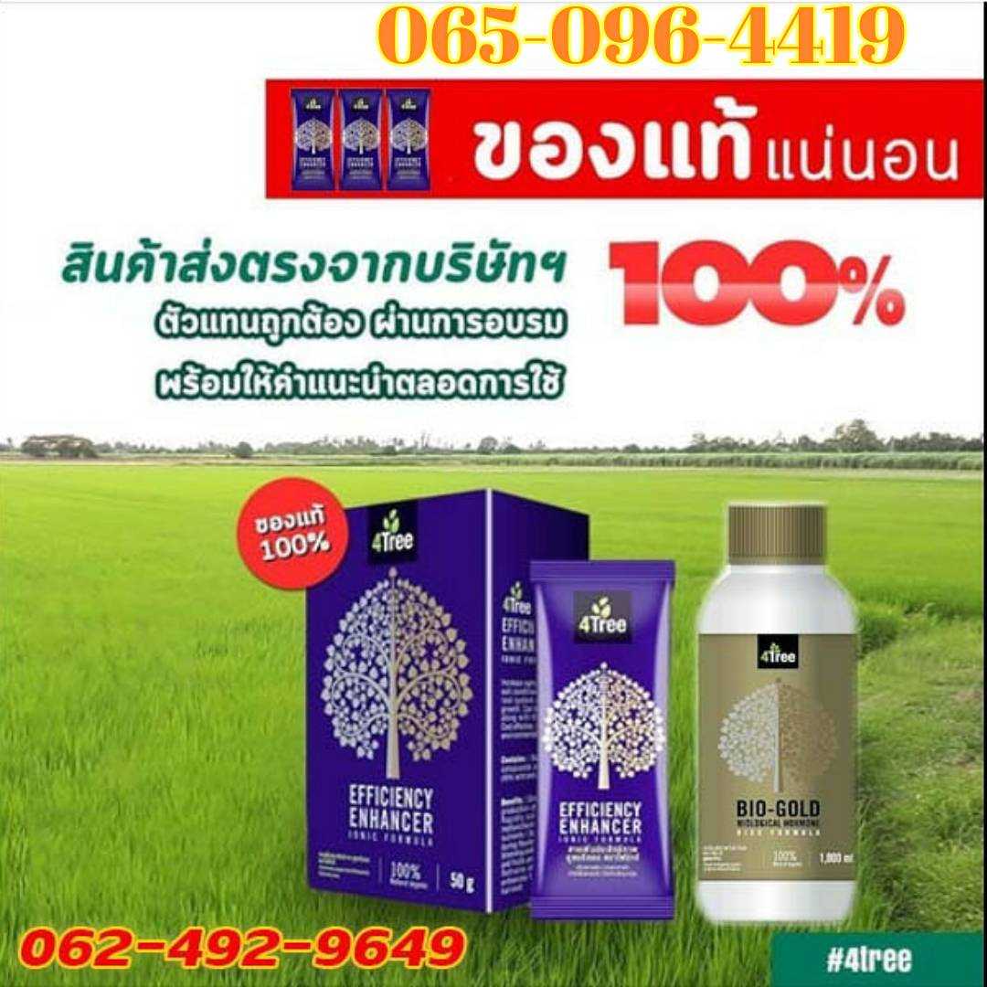 4Tree สารเสริมประสิทธิภาพ สูตร อิอ้อน นาโน ลดต้นทุนเพิ่มผลผลิตลดปุ๋ยลดยา