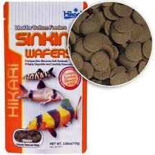Hikari Sinking Wafer หาอาหารจมสำหรับปลาก้นตู้
