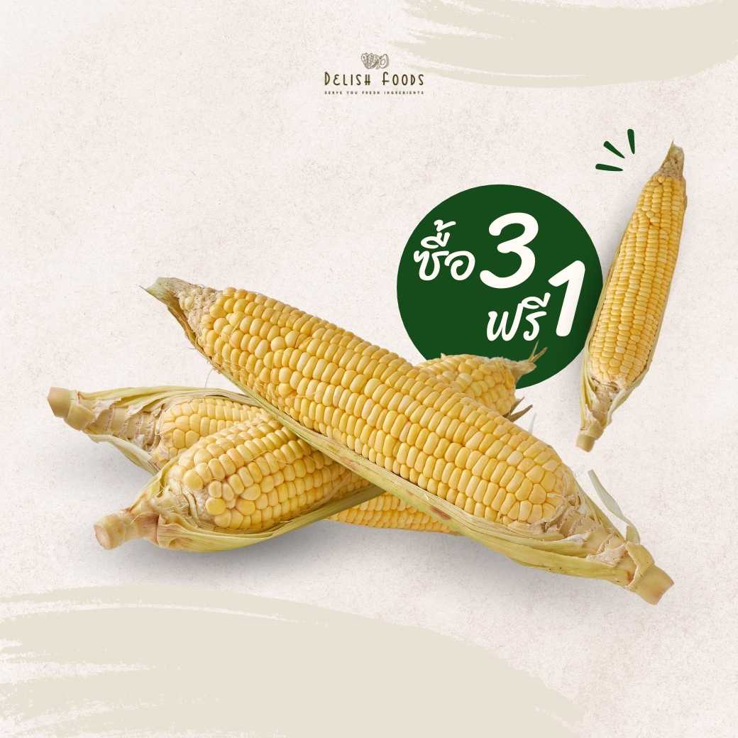 FG08007 ข้าวโพดหวาน Sweet Corn ซื้อ 3 Free 1