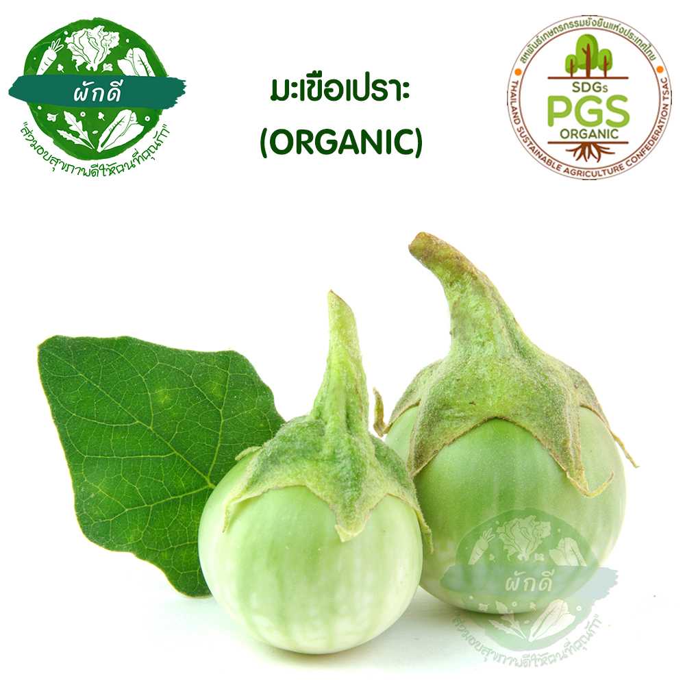 มะเขือเปราะ ออแกนิก 250 กรัม