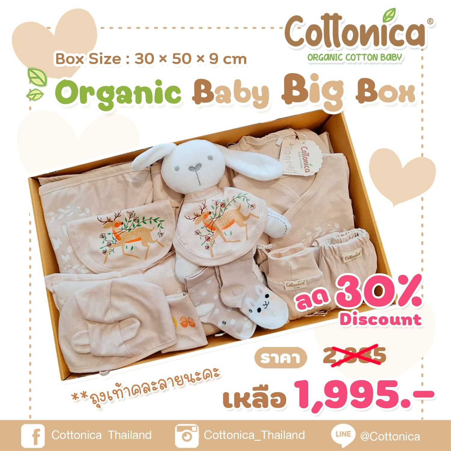 Organic Bunny Big Box เซ็ทของขวัญเด็กแรกเกิด17ชิ้น 100%Organic Cotton (10171)