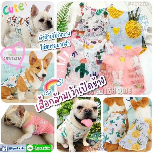 🇹🇭พร้อมส่ง🇹🇭 🌻🌞☁️💕 เสื้อกล้ามเว้าเปิดข้าง ผ้าฝ้ายโปร่งบาง ใส่สบายมากจ้า for pet เสื้อหมา ...