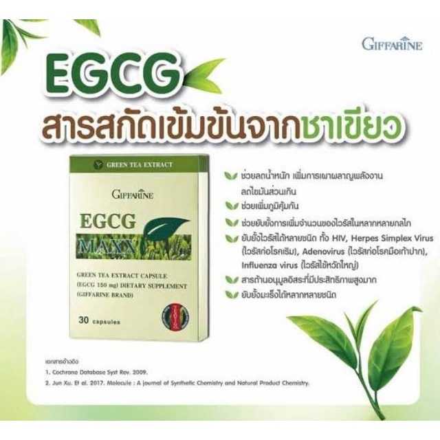 อีจีซีจี แมกซ์ กิฟฟารีน สารสกัดจากชาเขียว ตัวช่วยการเผาผลาญ ลดไขมัน ลดน้ำหนัก ลดความอ้วน