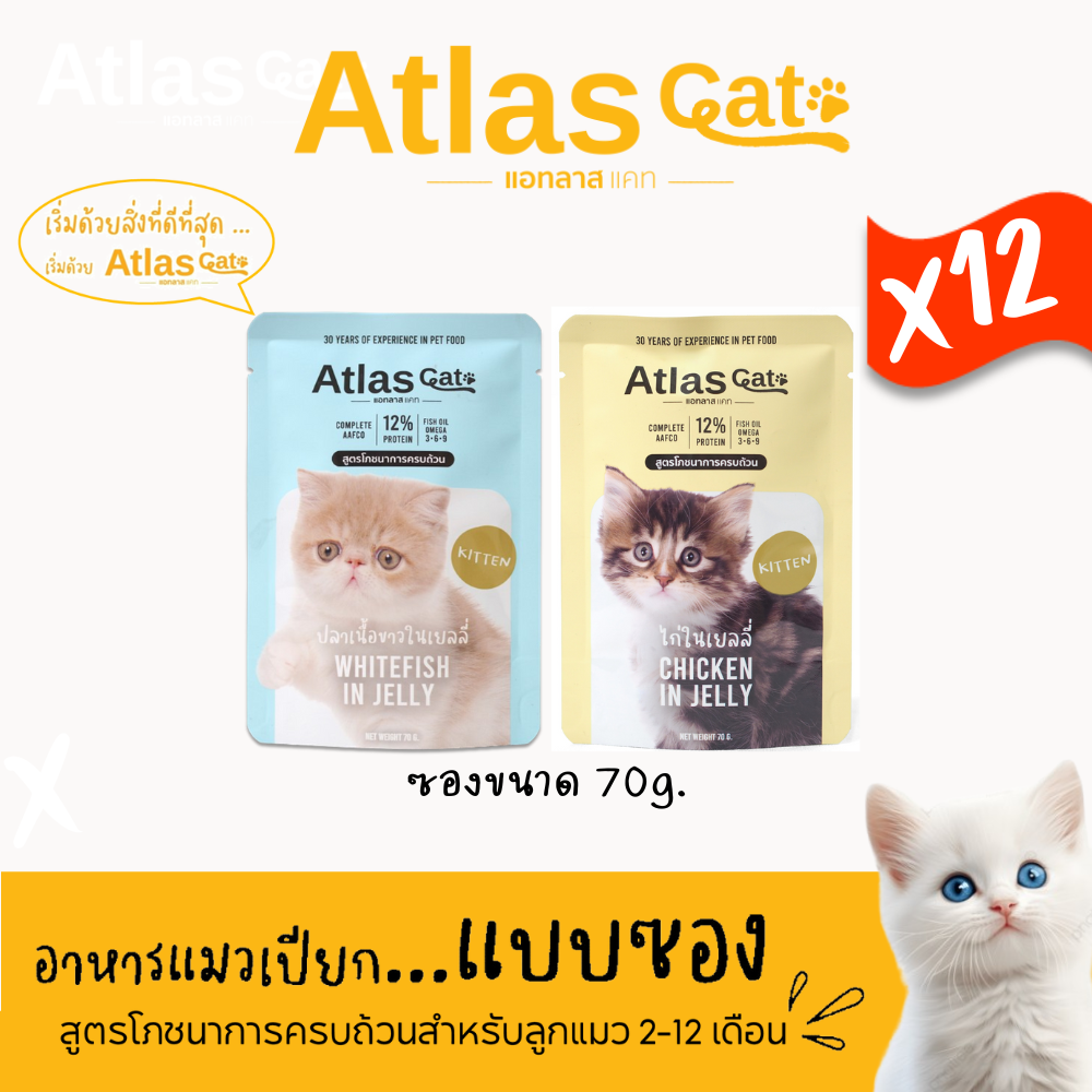 (แพ็ค 12) Atlas Cat แอทลาส แคท อาหารแมวเปียก สูตรโภขนาการครบถ้วนสำหรับลูกแมว 2-12 เดือน (เลือกรสได้)