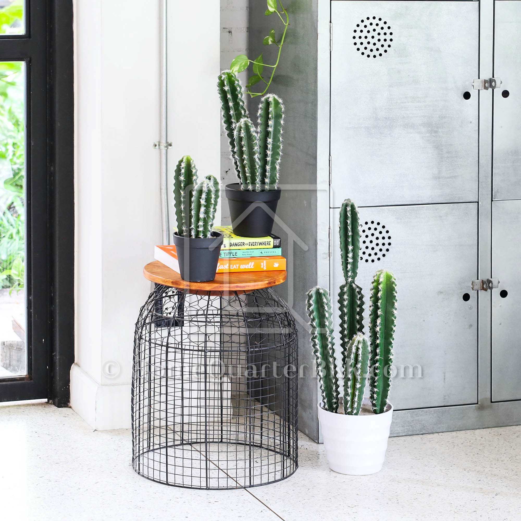 กระบองเพชรเทียม บาตงแคคตัส ขนาดเล็กพิเศษ | Baton Cactus-XS