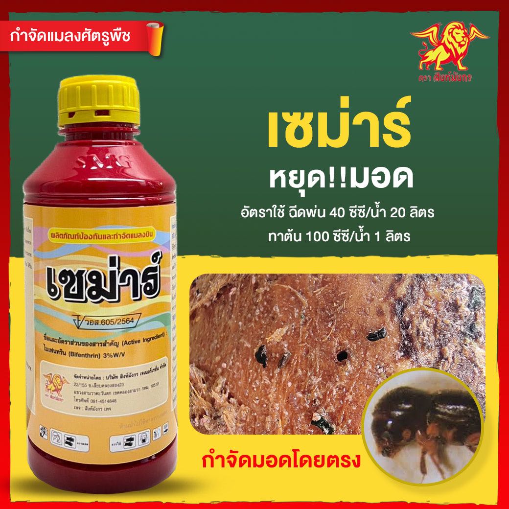 เซม่าร์ สิงห์มังกร