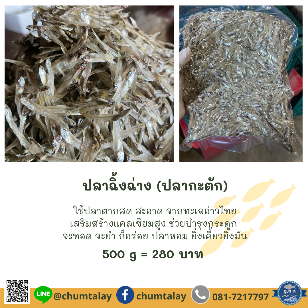 ปลาฉิ้งฉ่าง (ปลากะตัก)