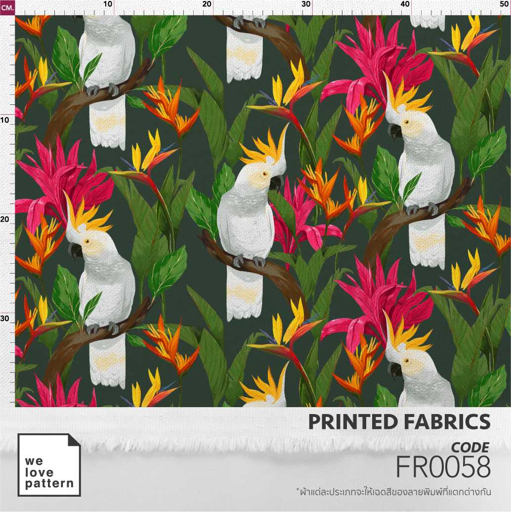 รหัสลาย : FR0058