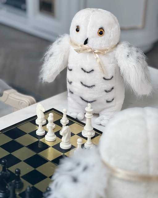 The Salil Barn Owl Doll (Baby Bo)