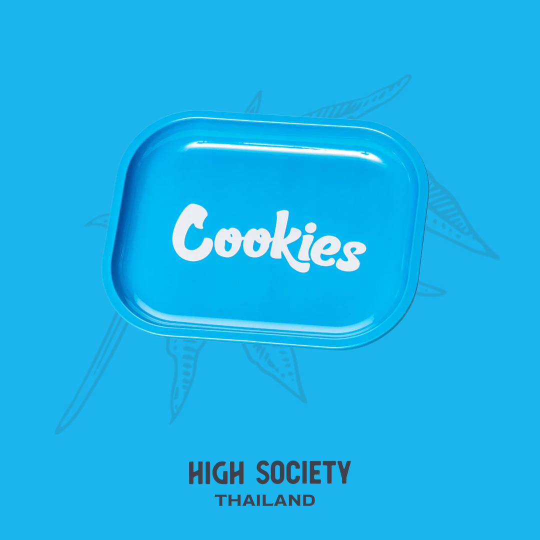 Cookie Metal Tray