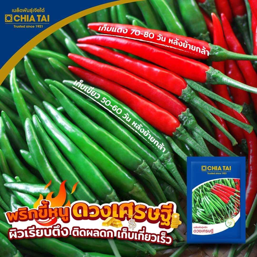 พริกดวงเศรษฐี        #เมล็ดพันธ์ุ