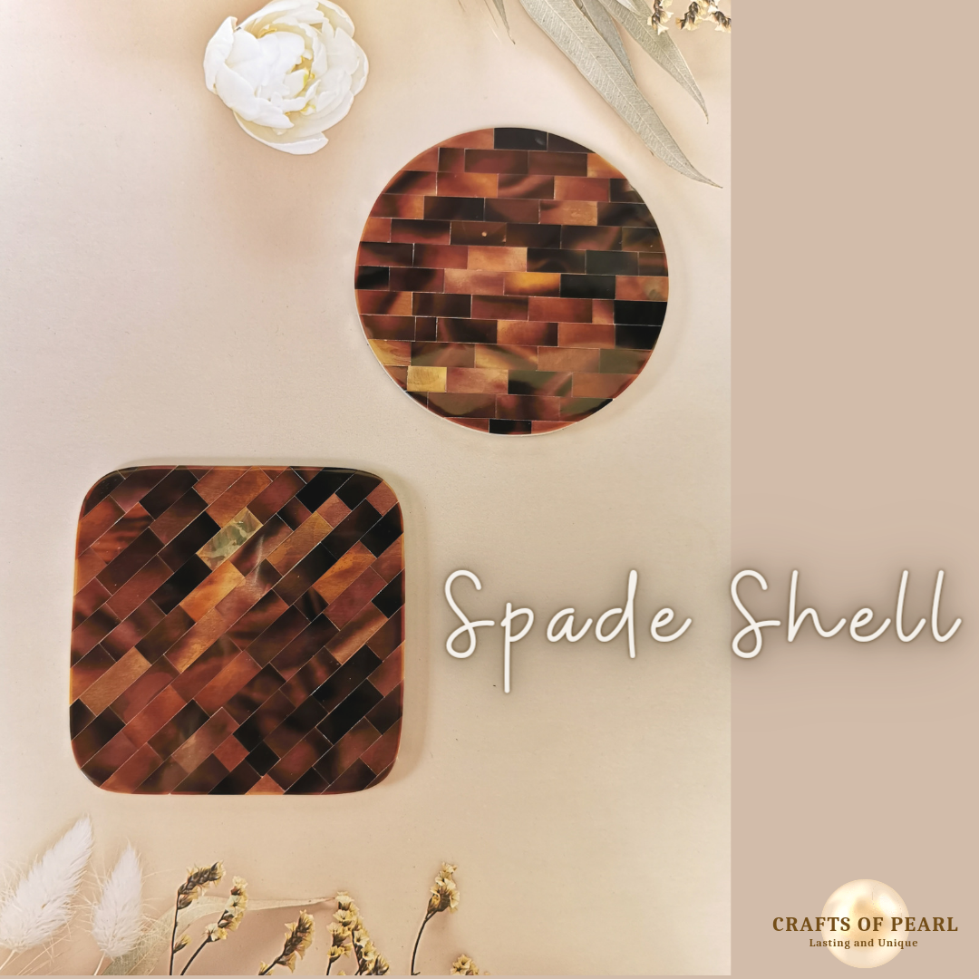 Coasters in Spade Shell