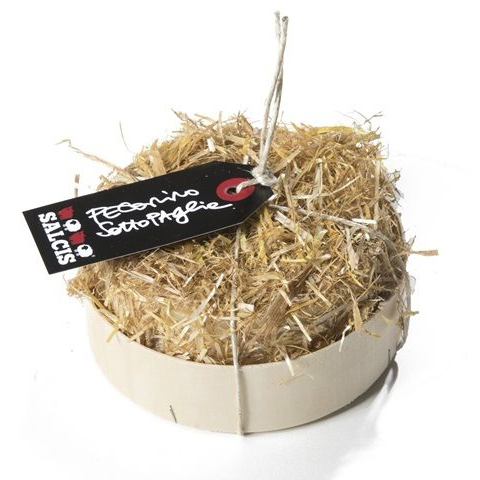 Pecorino Toscano seasoned and wrapped in straw Salcis - 500gr +/-