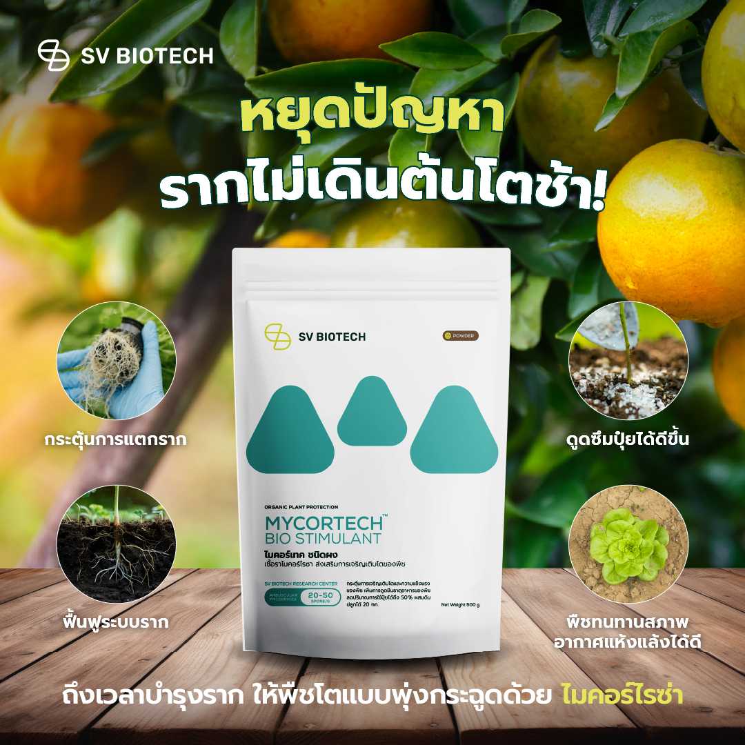 เชื้อราไมคอร์ไรซ่า มาตรฐานIFOAM เร่งราก เพิ่มพื้นที่ผิวราก ลดการใช้ปุ๋ย เจริญเติบโตเร็ว ขนาด 500g