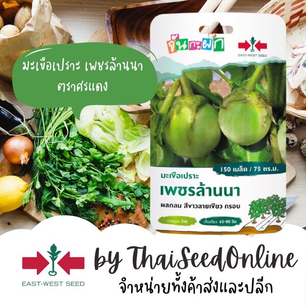 GGEW มะเขือเปราะเพชรล้านนา 150เมล็ด ตราศรแดง เมล็ดพันธุ์พระราชทาน จันกะผัก Eggplant
