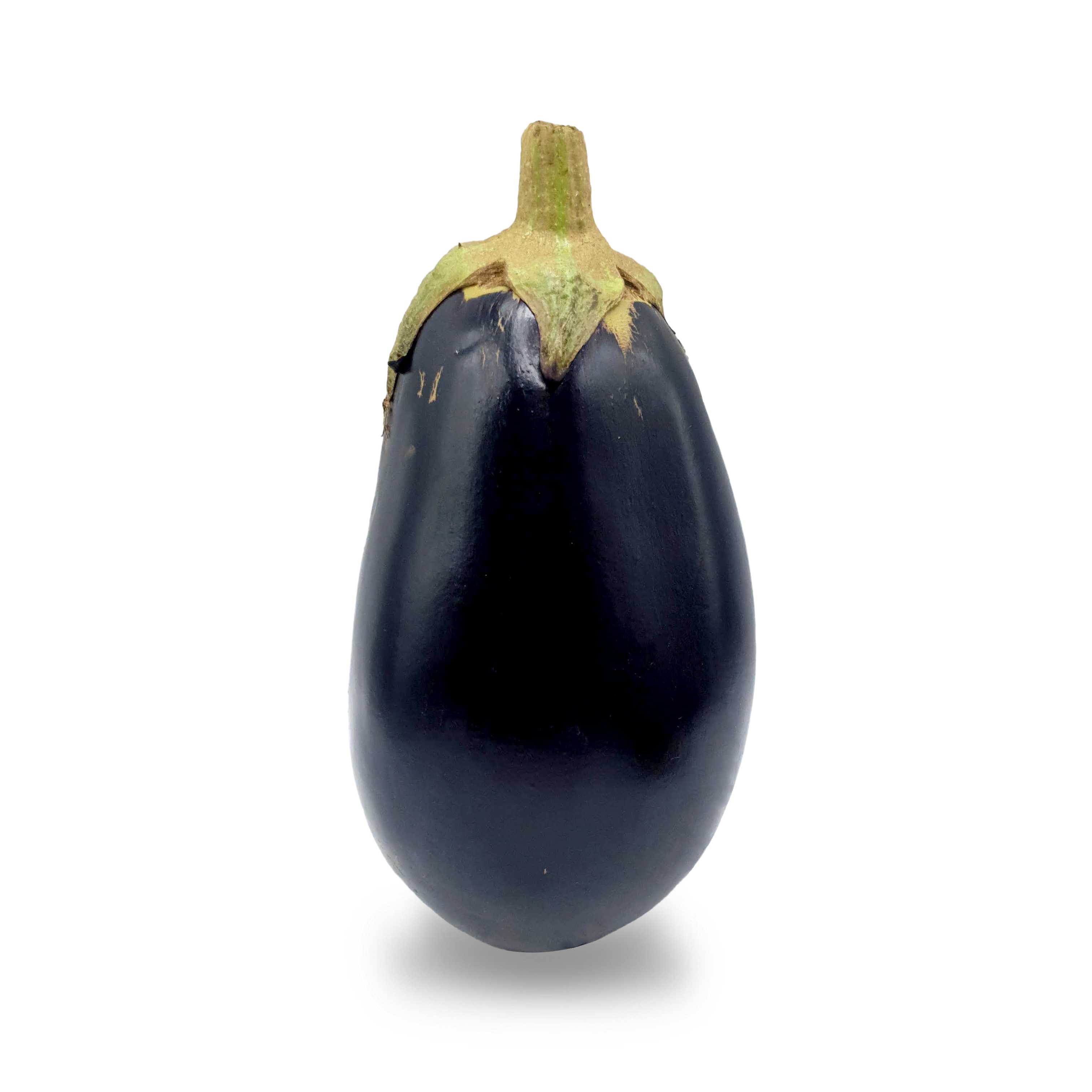มะเขือยาวสีม่วง   ( Egg plant  )