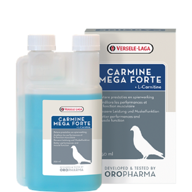 Carmine Mega Forte 250ml