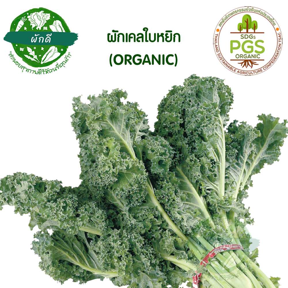 ผักเคล Kale ใบหยิก  250 กรัม