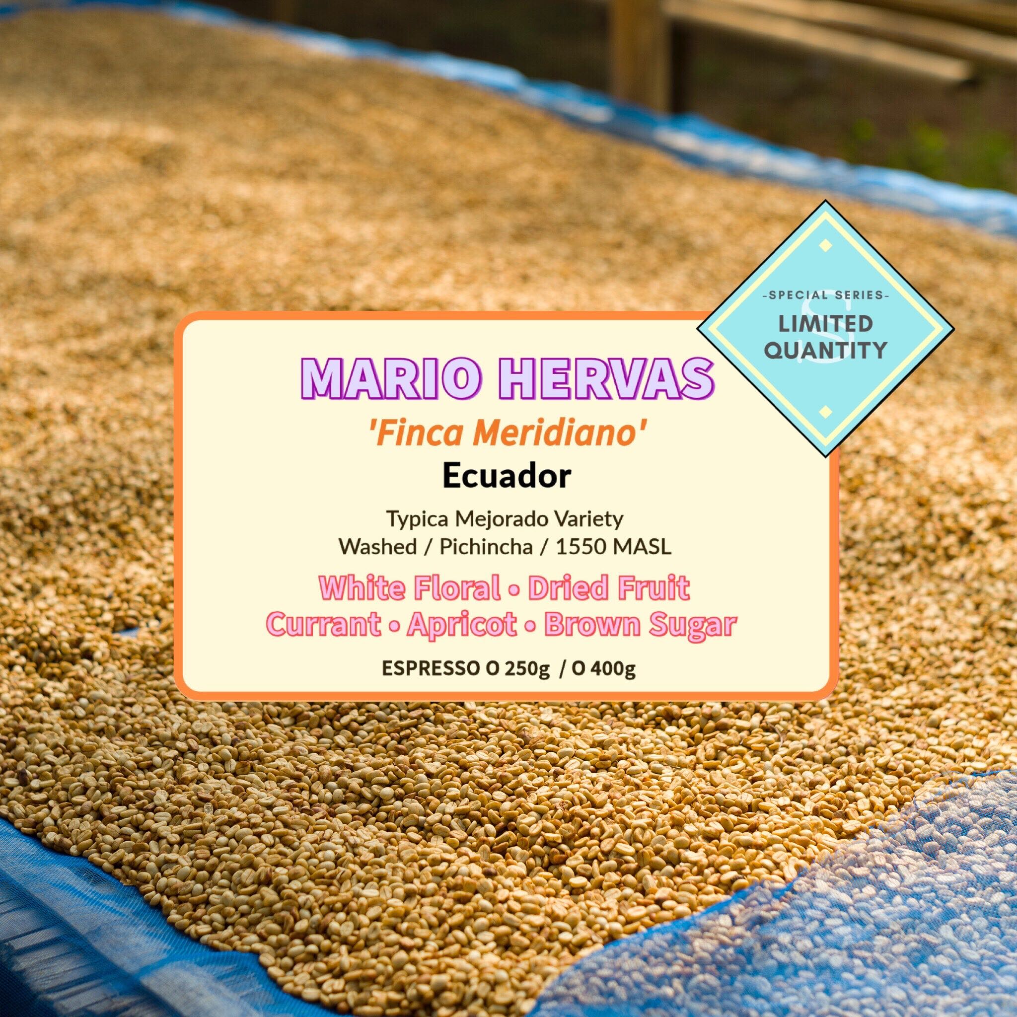 Mario Hervas ( Espresso Roasted )