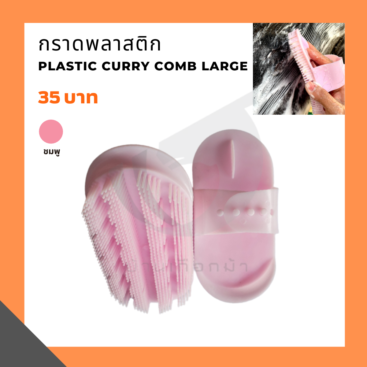 กราดพลาสติก Plastic curry comb large