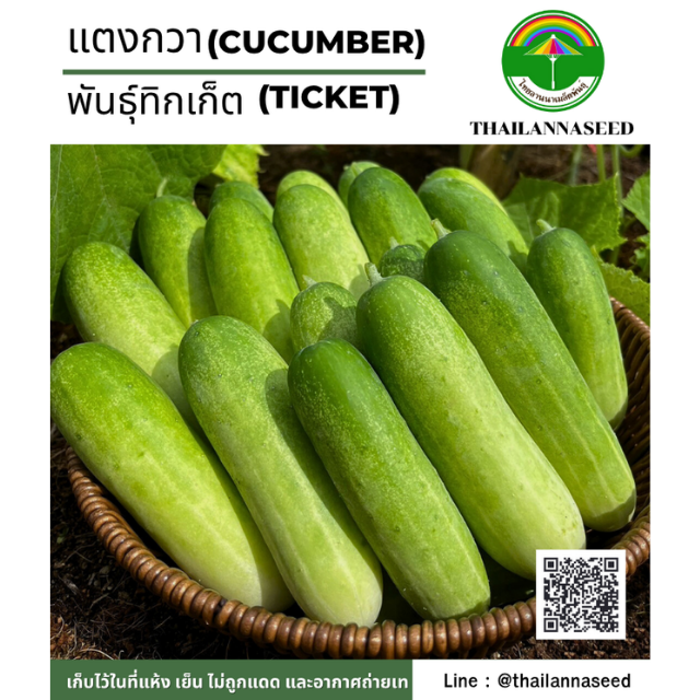 แตงกวา พันธุ์ทิกเก็ต ( ขนาด 0.5 กรัม ) รหัสสินค้า 4034