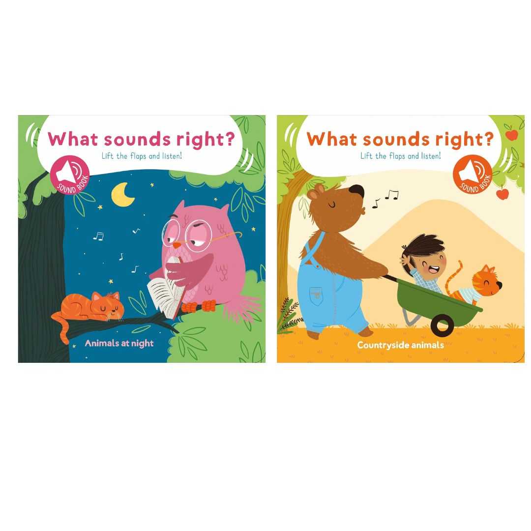 หนังสือมีเสียง Yoyo Books: Lift the Flaps and Listen Book Series