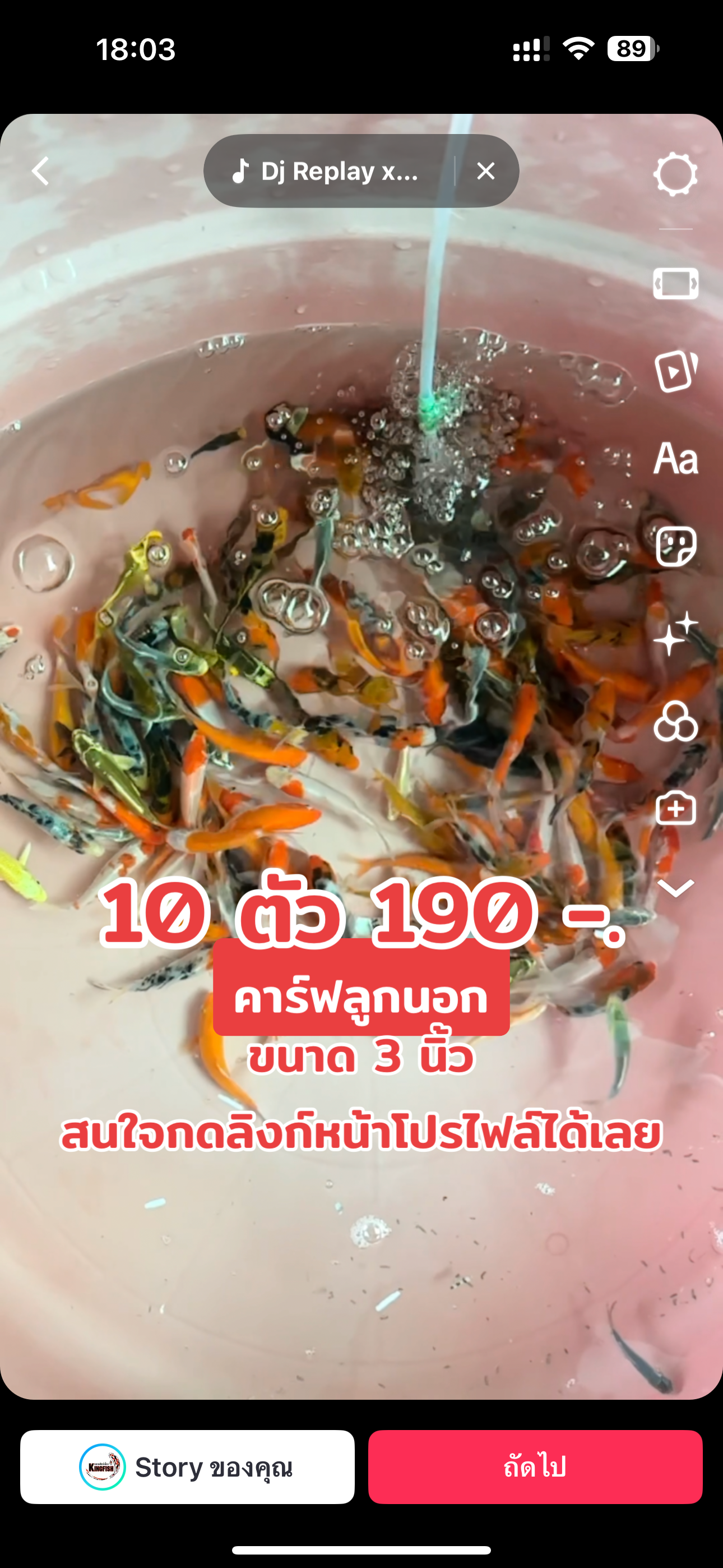 ปลาคาร์ฟลูกนอก 3 นิ้ว 10 ตัว คัดพิเศษ