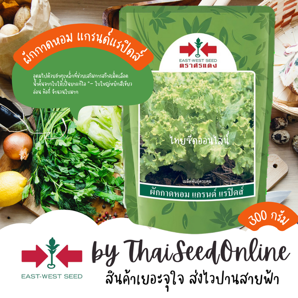 ตราศรแดง EWCOM EXP. 07/2568 ผักกาดหอม แกรนด์ แรปิดส์ 300กรัม ตราศรแดง Grand Rapid Lettuce