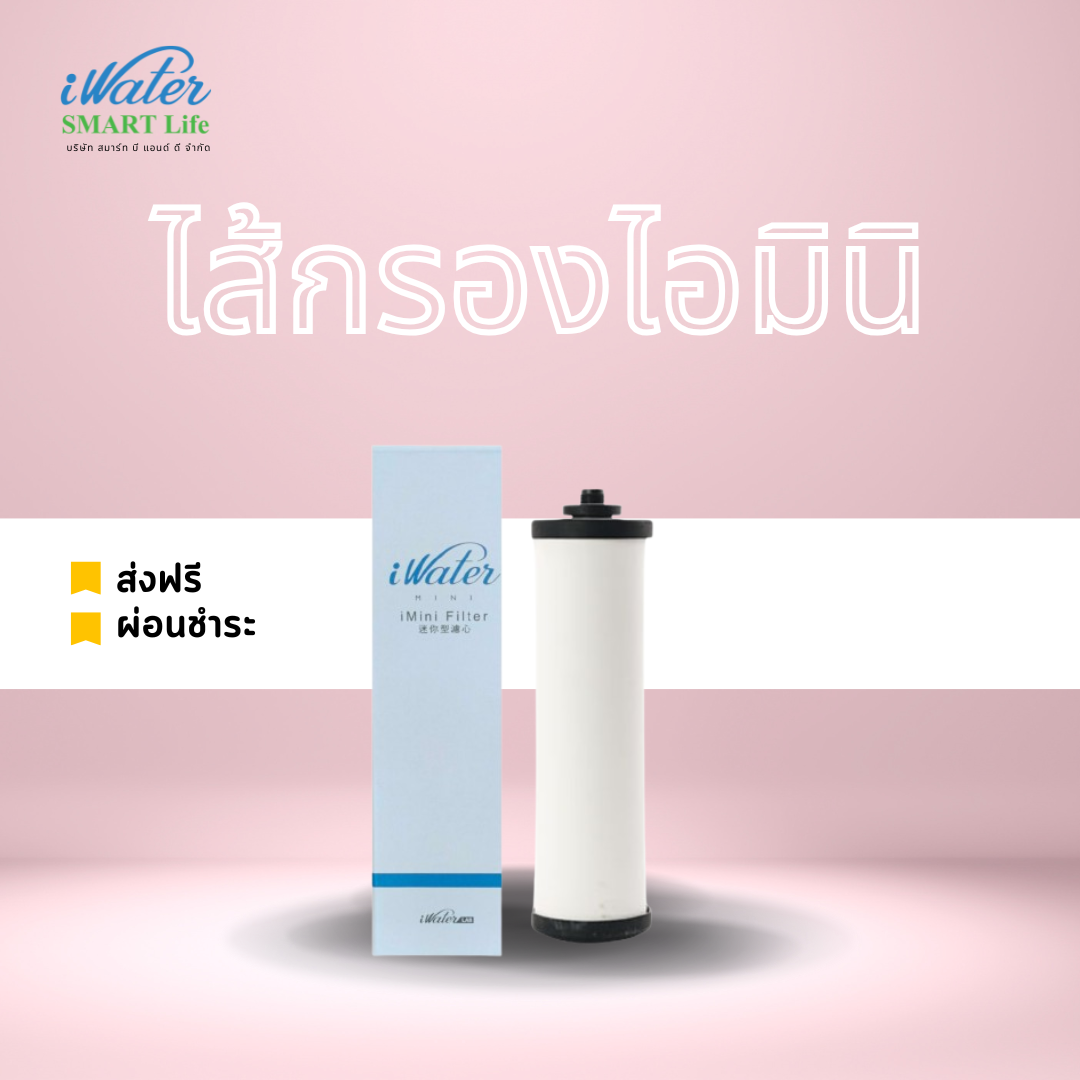 ไส้กรองไอมินิ /iWater