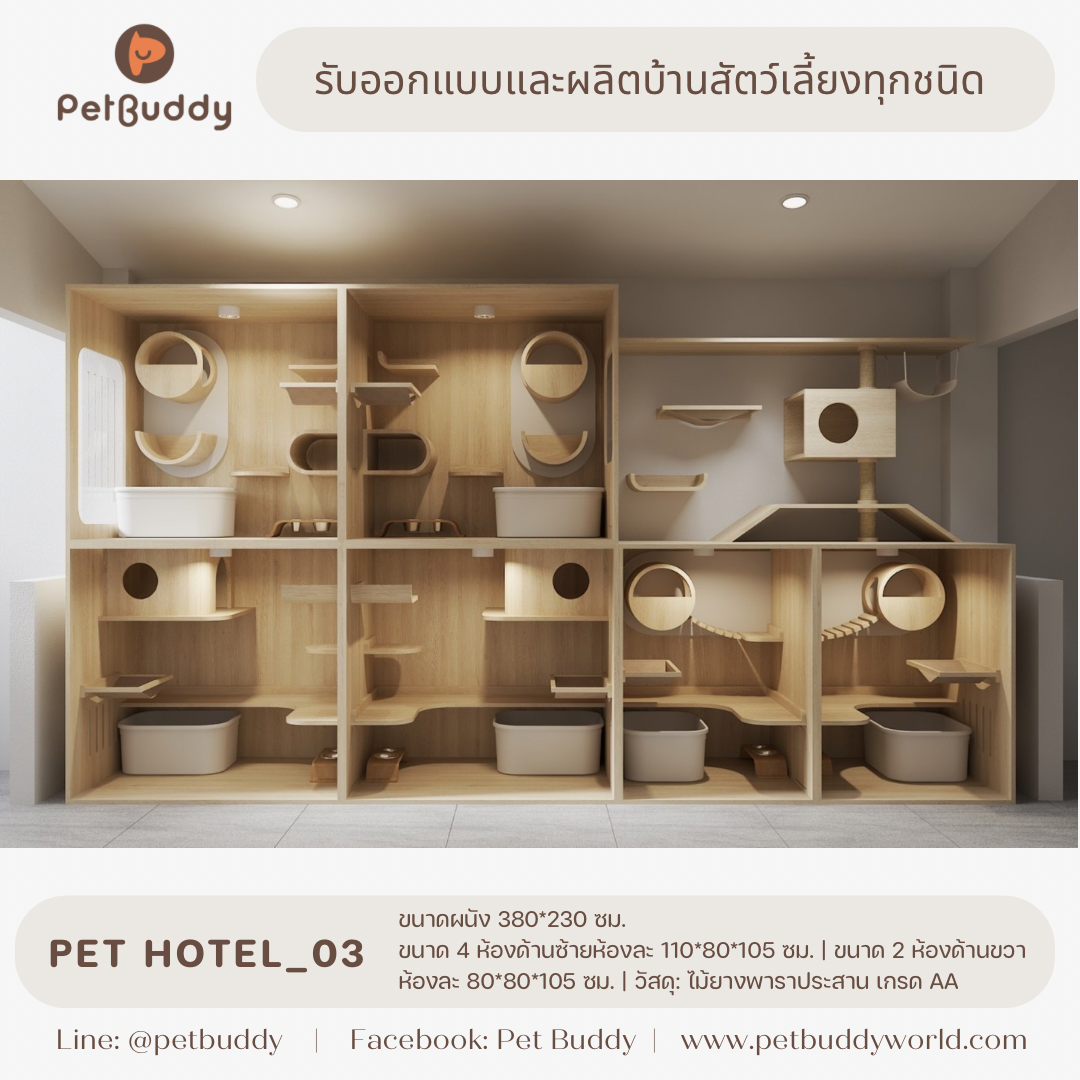 Pet Hotel_03 โรงแรมแมว