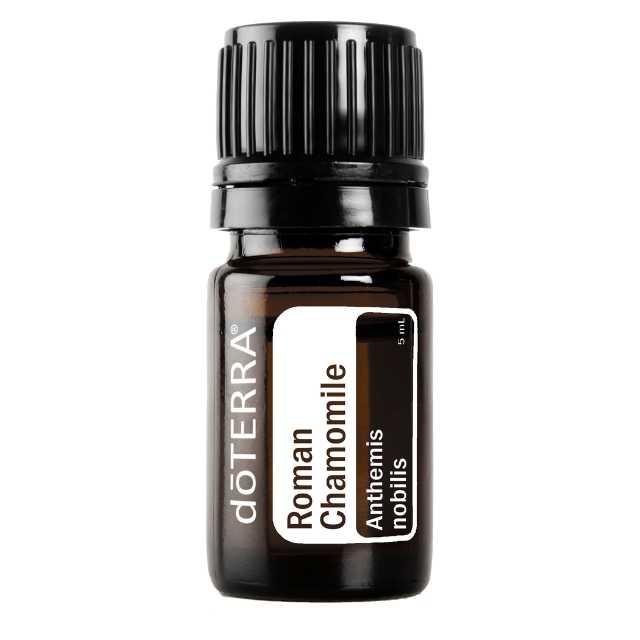 Roman Chamomile - โรมัน คาโมมายล์ - 61 PV
