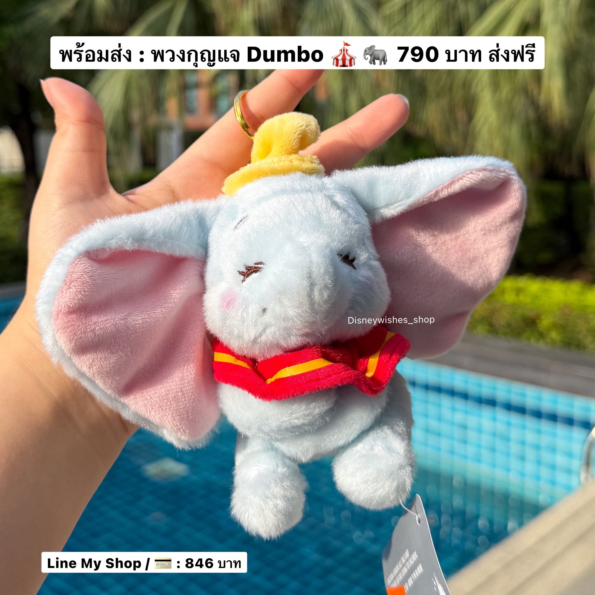 พร้อมส่งที่ไทย : พวงกุญแจ Dumbo 🇭🇰 HK Disneyland
