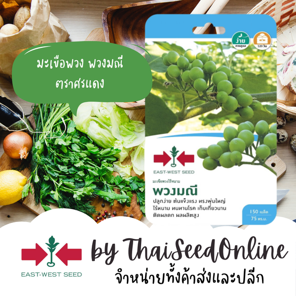 GGEW เมล็ดพันธุ์ซฟ มะเขือพวงไร้หนาม พวงมณี ตราศรแดง