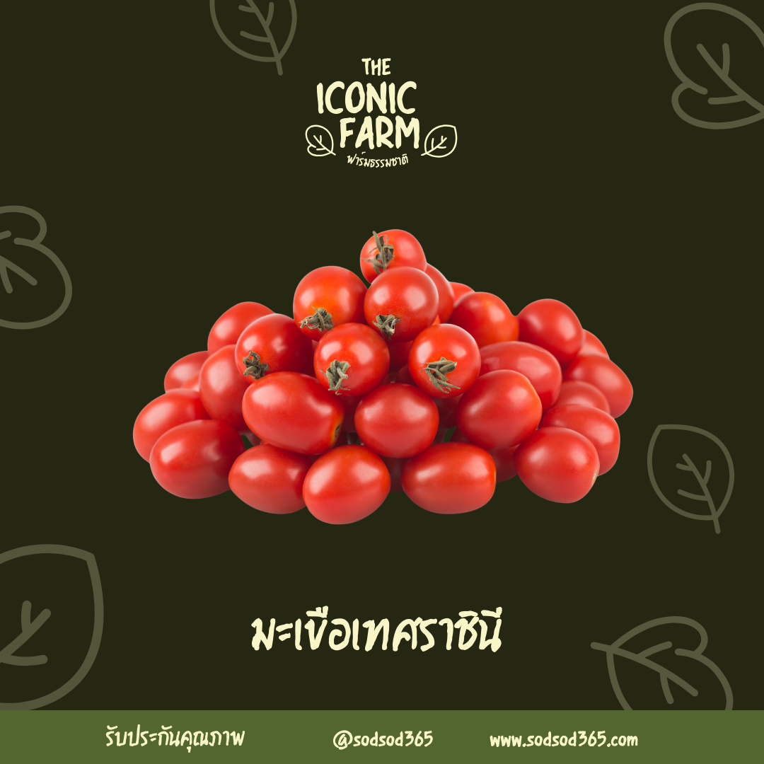มะเขือเทศราชินี _ไร้สารฯ 500g