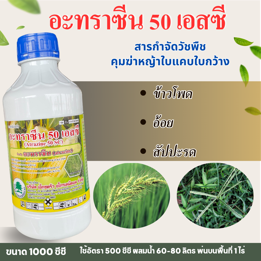 สารกำจัดวัชพืช อะทราซีน 50 เอสซี คุมฆ่าหญ้าใบแคบใบกว้าง ข้าวโพด อ้อย สัปปะรด