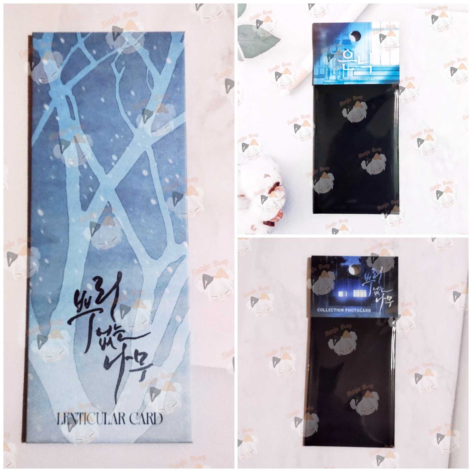 ซองสุ่มการ์ด ตั๋ว lenti lebom lezhin boomtoon What Lies Within , ต้นไม้ไร้ราก