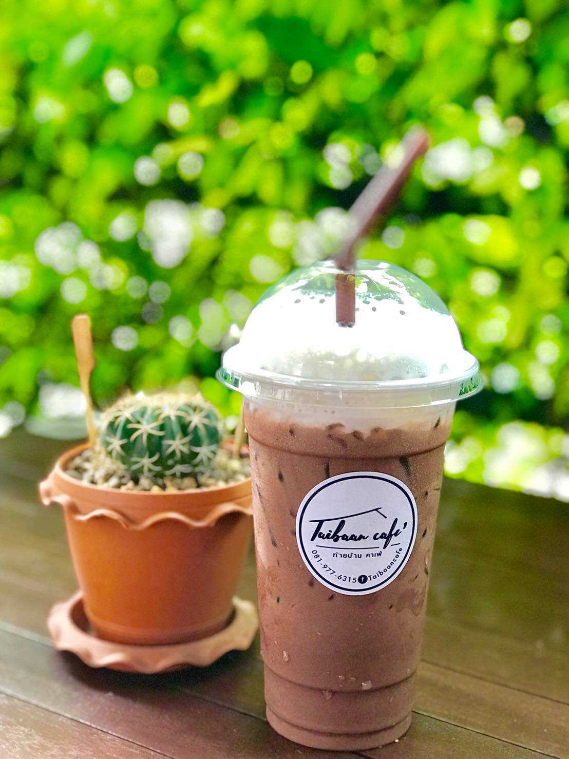 Mocha มอคค่า