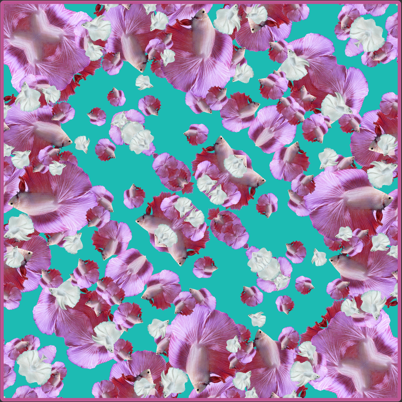 Dark Turquoise Pink Fullmoon Betta  Scarf - Pink