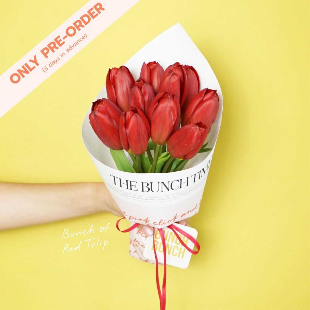 Bunch of Tulip (only pre-order)