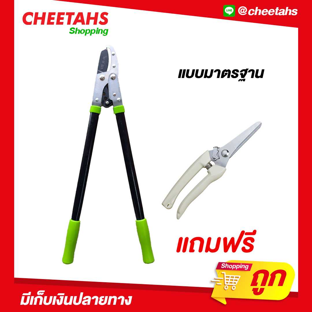 กรรไกรตัดแต่งกิ่งไม้