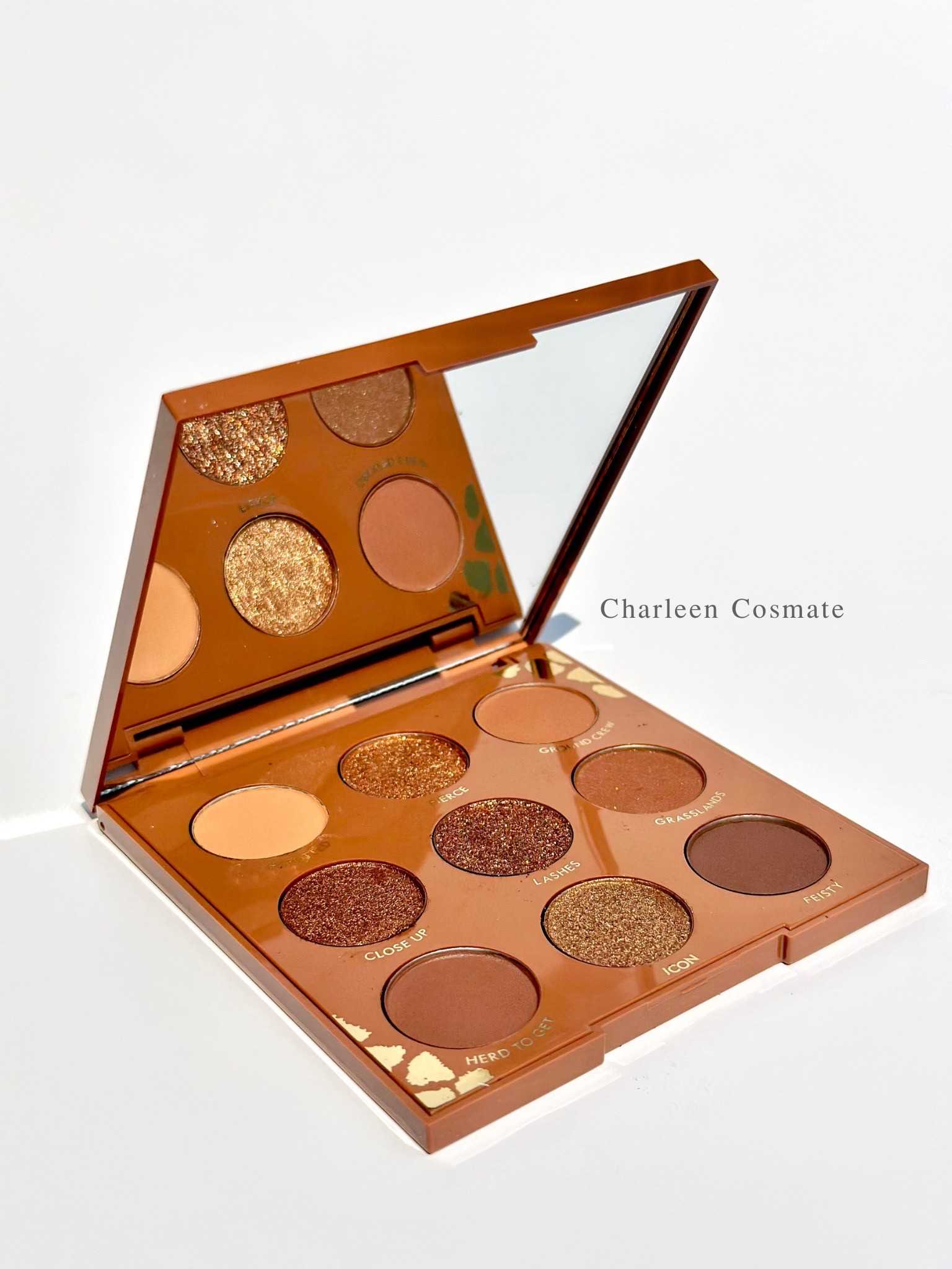 อายแชโดว์พาเลททาตา 9 สี เนื้อใยไหม Guicami Wild Child