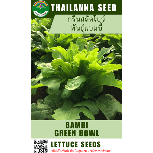 กรีนสลัดโบว์ พันธุ์แบมบี้ ( ขนาด 10 กรัม ) รหัสสินค้า 1011