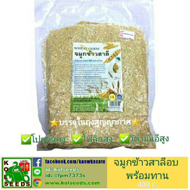 จมูกข้าวสาลีอบ พร้อมรับประทาน กรดโฟลิกสูง บำรุงครรภ์ ใช้ทำขนมอบ เพื่อสุขภาพ #HF# , #DF# , #HI#