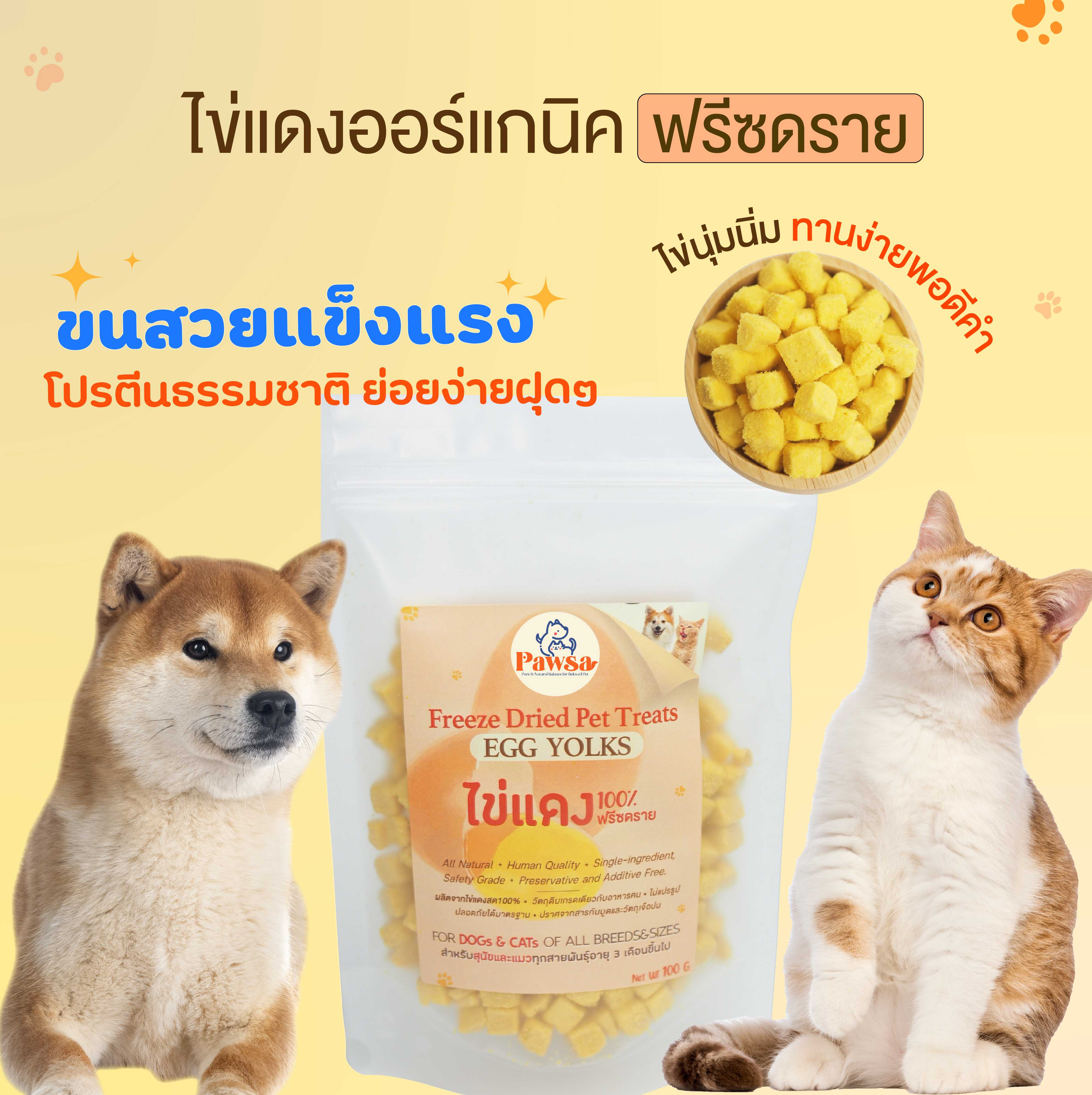 PAWSA ขนมแมว ไข่แดงฟรีซดราย ขนมแมวฟรีซดราย ขนมฟรีซดรายแมว ขนมไข่แดงฟรีซดราย