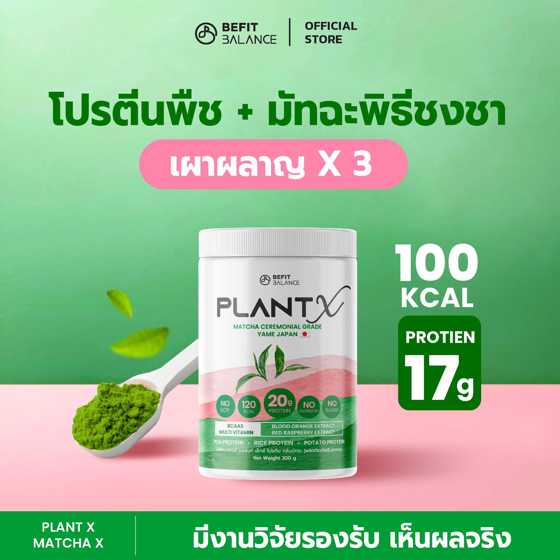 BeFitBalance PLANT X MATCHA 300 g