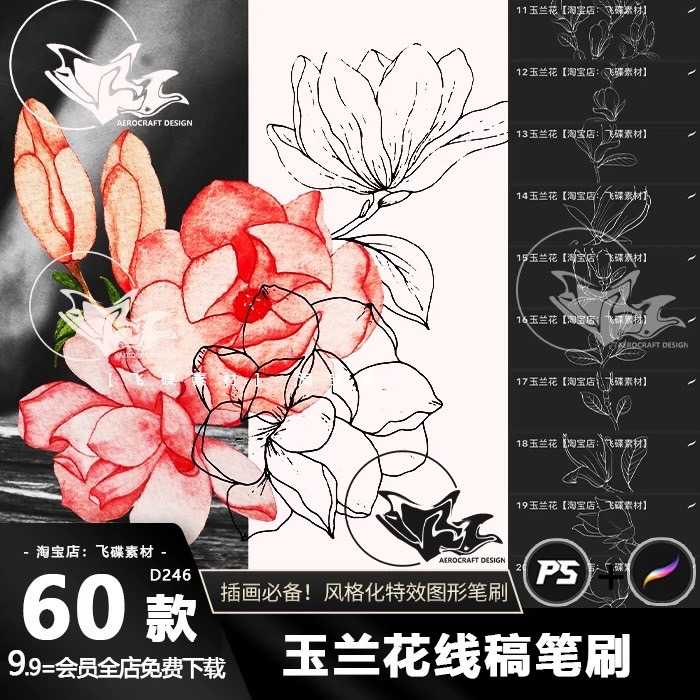 EFL057 Procreate PS บรัชดอกไม้ ดอกแมกโนเลีย Magnolia 60 บรัช