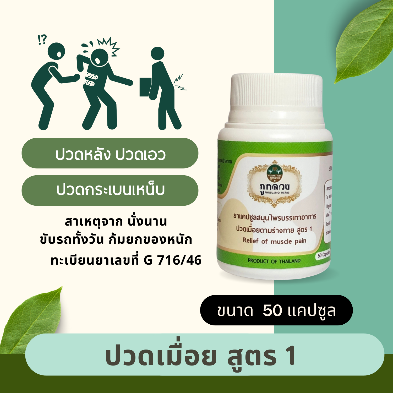 ปวดเอว : บรรเทาอาการปวดเมื่อย สูตร 1 (ขนาดบรรจุ 50 แคปซูล)